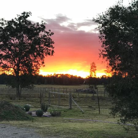 Lovedale Red Gum Cottage Esterno foto