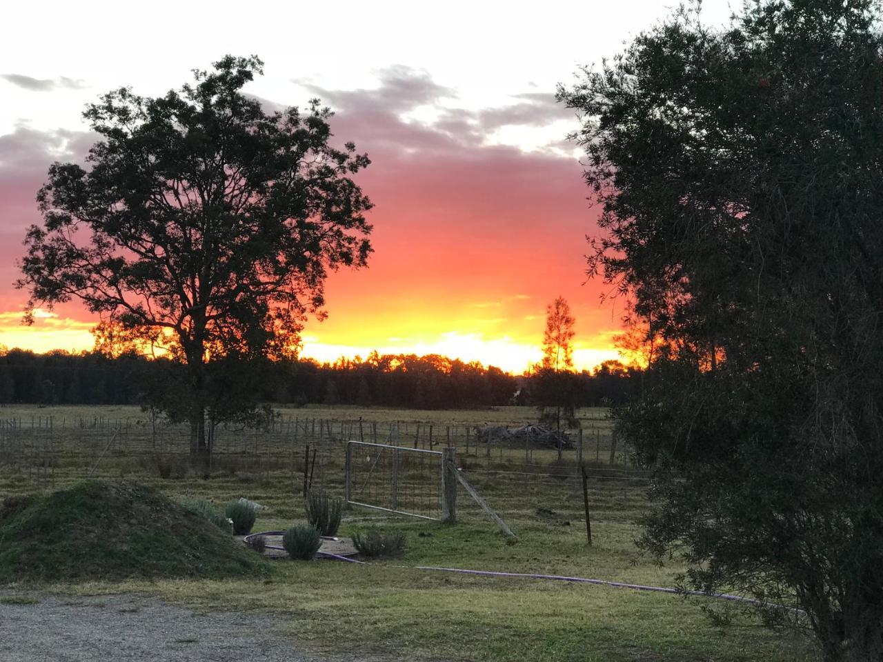 Lovedale Red Gum Cottage Esterno foto