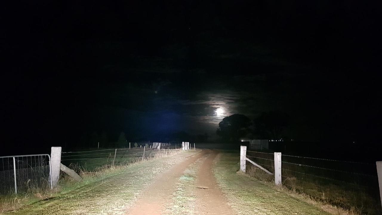 Lovedale Red Gum Cottage Esterno foto