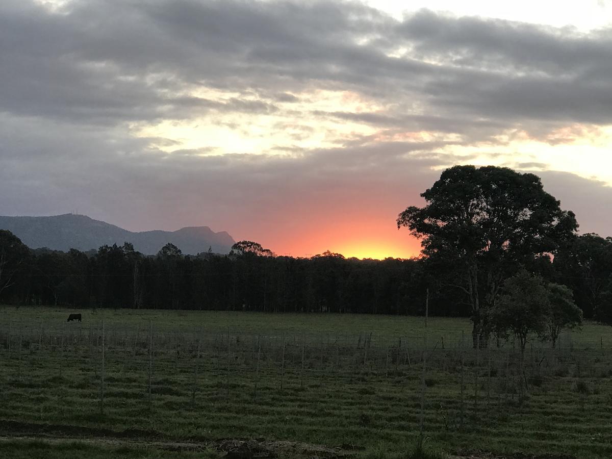 Lovedale Red Gum Cottage Esterno foto